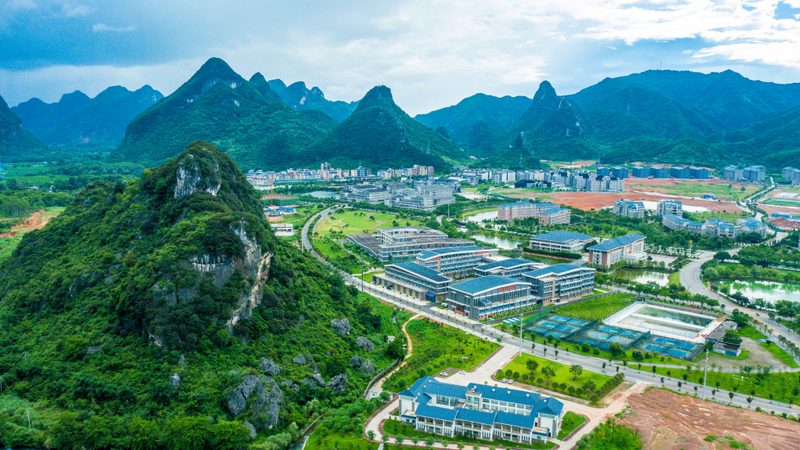 成都物联网电子模块：揭秘其报价背后的技术考量