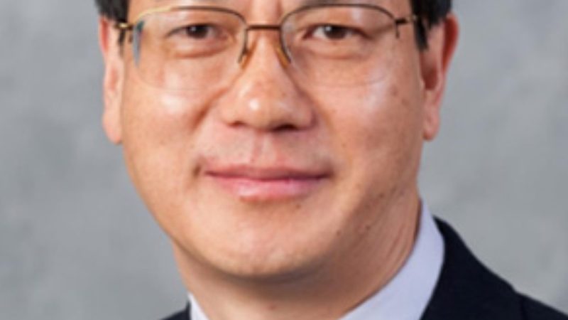IC型号查询攻略：揭秘高效软件选型之道