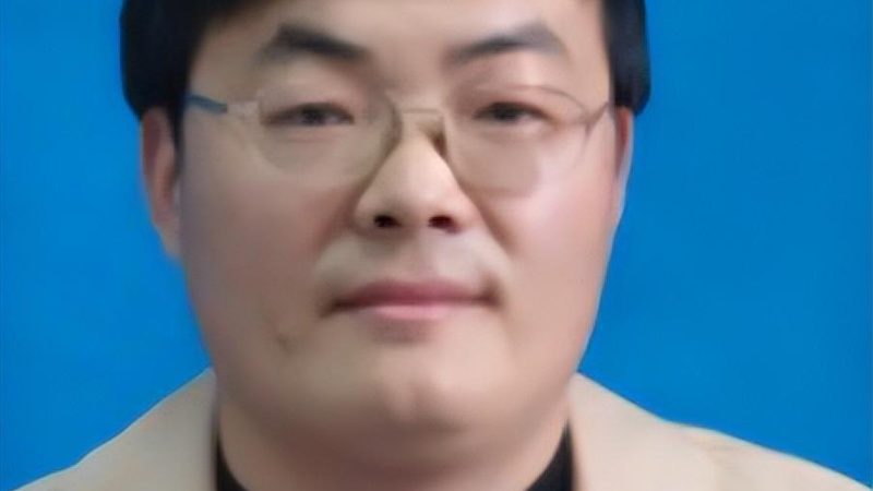 解码集成电路型号：揭秘查询技巧与要点